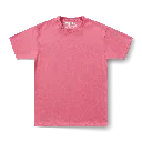SALMON.webp