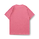 SALMON 2.webp